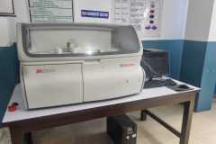 img10 img10