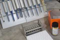 img12 img12