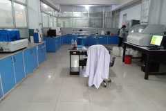 img18 img18