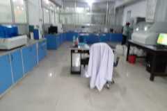 img19 img19