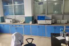 img6 img6